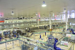 探索科技與農業融合之路——生命科學學院生物工程系與設施農業科學與工程專業師生參觀蒙牛六期工廠