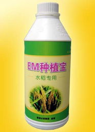 廣州以諾生物科技推出‘em種植寶’水稻專用產品，助力綠色農業(yè)發(fā)展